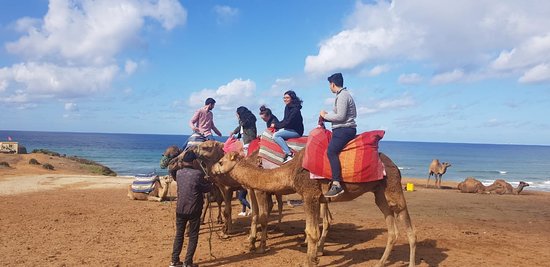 <span> 5 </span> Camel Ride Experience