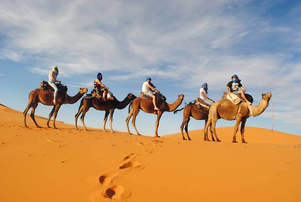 TAXI LUX TOURS