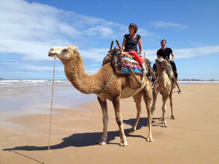 <span> 5 </span>Camel Ride