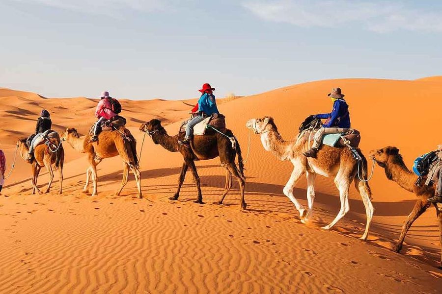 Full day Marrakech guided city tour